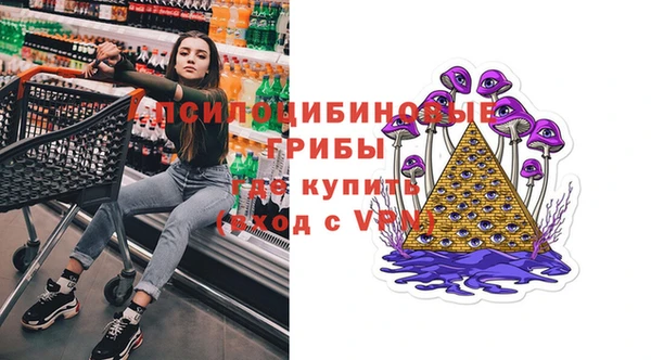 таблы Снежногорск