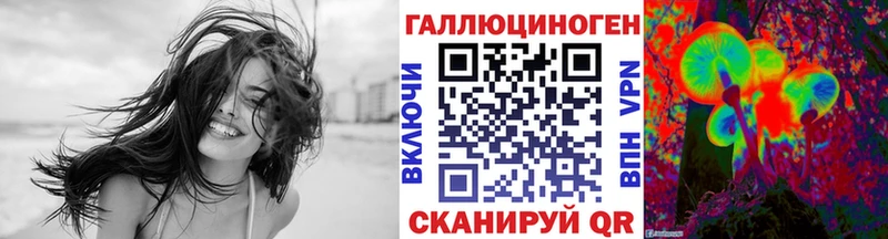 продажа наркотиков  Заозёрск  Галлюциногенные грибы Psilocybine cubensis 